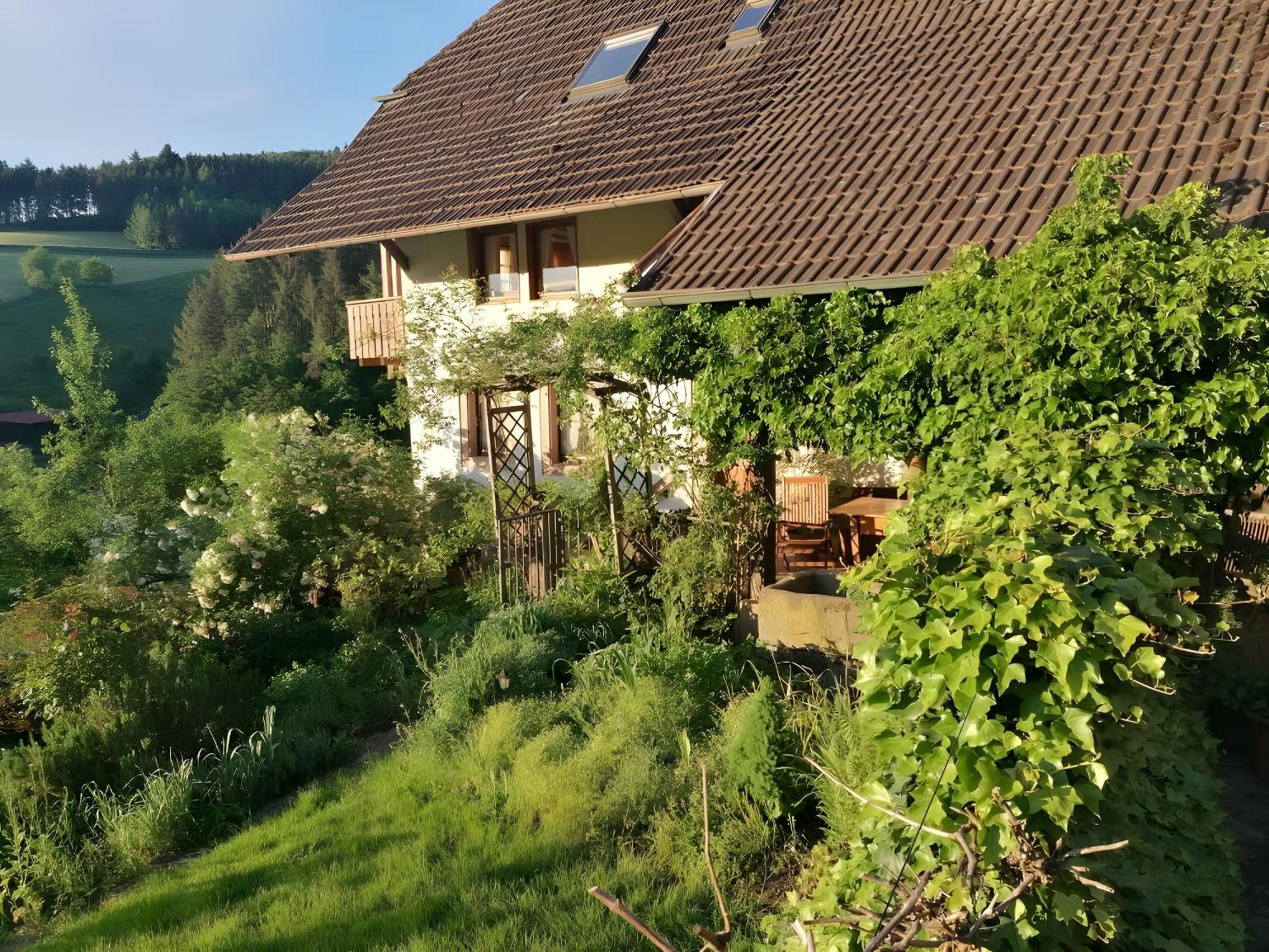 Room In Guest Room - Double Room Apple Blossom Schuttertal Exteriör bild