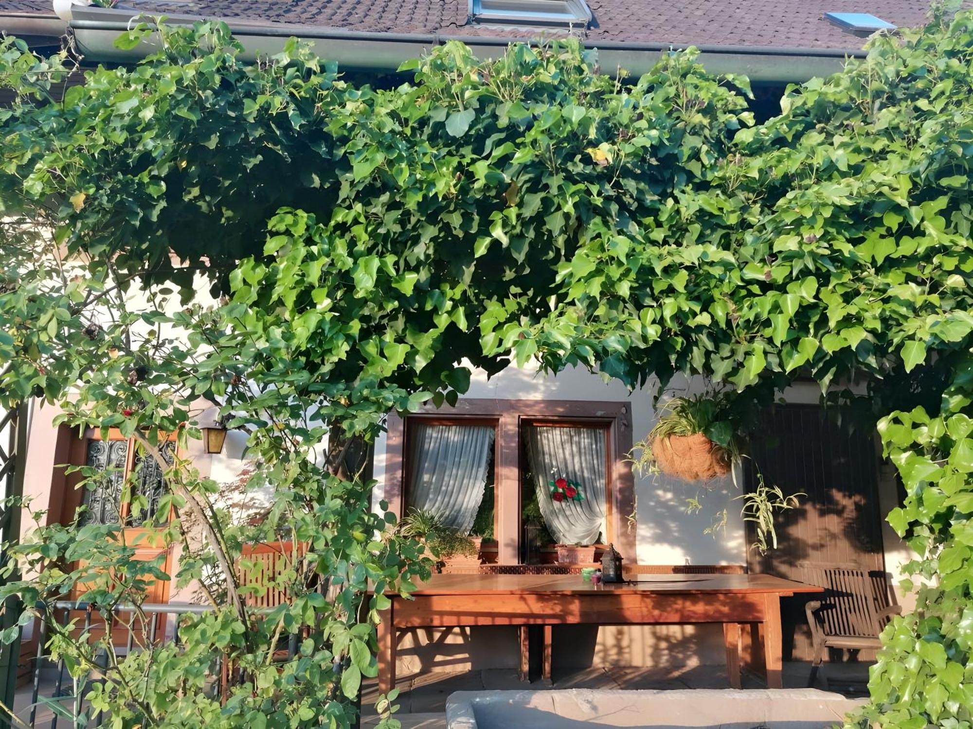 Room In Guest Room - Double Room Apple Blossom Schuttertal Exteriör bild